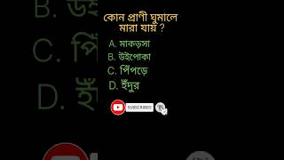 General knowledge / bangla quiz video gk shorts