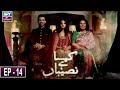 Watch Kaisa Hai Naseeban Episode 14 | ARY Zindagi Drama Online In HD