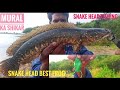 snekhed fish | snekhed fishing videos | maral fishing