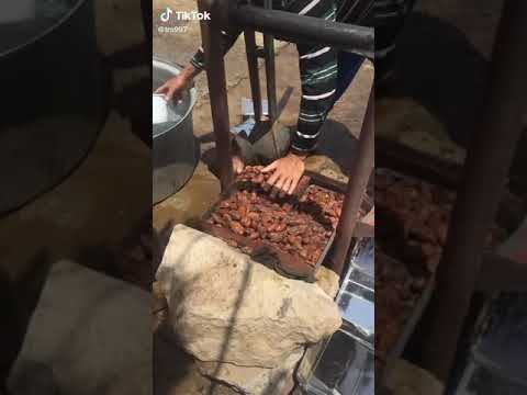 طريقة اعادات تجديد التمر القديم وبيعه