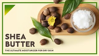 Shea Butter Benefits - Why Its a Miracle Beauty Product & How Does It Work