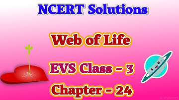 Web of Life Question & Answer | EVS Class 3 | Chapter 24 | Carry Education