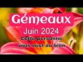 GÉMEAUX Juin 2024 - " Cette personne vous veut du bien ! "