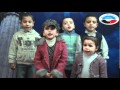 زهور النور 1