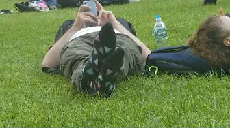 Candid Traveler Triangle Dress Socks