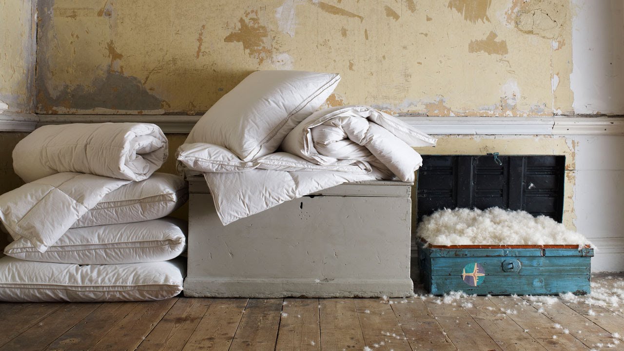 Hungarian Goose Down and Feather Pillows