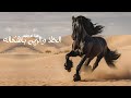 شيلة باسم ام وليد جديدة 2024 ام وليد الحلا والزين باشكاله اداء متعب الخيل شيلة مدح ام وليد حماسية 