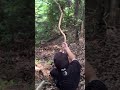 山でリアルターザンしてみた