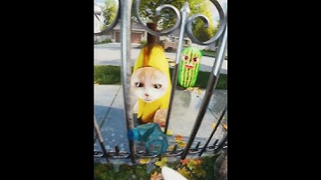 Thumbnail of A friend of mine2 #memes #meme # #bananacat #sacabambaspis