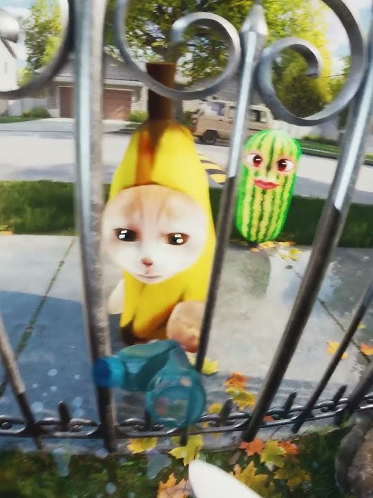 A friend of mine2 #memes #meme # #bananacat #sacabambaspis