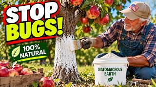 3 Powerful Ways to GET RID OF Ants, Aphids, Mealybugs & Other Pests!