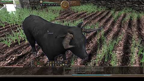 Wurm Unlimited - Tutorial/Let