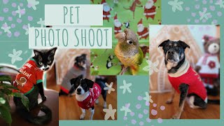 Photo Shoot with Pets for the Holidays by Caitlin G 12 views 4 months ago 7 minutes, 43 seconds