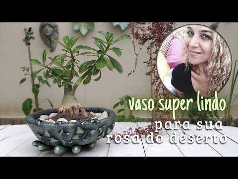 Click to Play Video