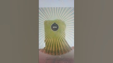 If it lands on your country your out part 4 #shorts #xyzbca #spin #wheel