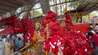 Falaknuma Kali Mata Temple || Blessings || Devotees ||
