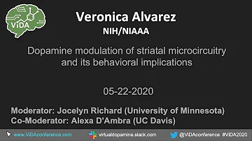 Veronica Alvarez - Dopamine modulation of striatal microcircuitry and its behavioral implications