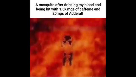 A mosquito after drinking my blood and being hit with 1.5k mgs of caffeine and 20mgs of Adderall