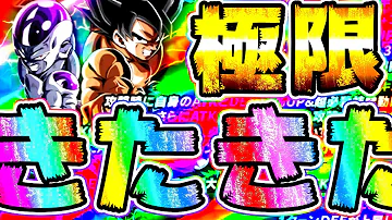 تحميل ドッカン ハト