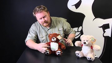 BooBuddy Interactive Ghost Hunting Bear