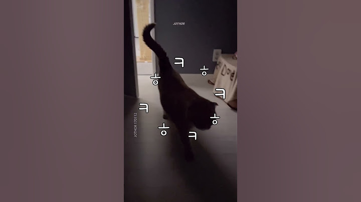 사랑할 수밖에 없는 이유❤️ #냥이 #개냥이 #스코티쉬폴드