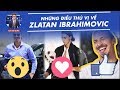 FOOTBALL EXTRA | NHỮNG ĐIỀU THÚ VỊ VỀ ZLATAN IBRAHIMOVIC