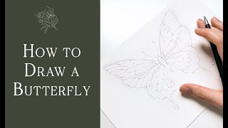 With so many watercolor butterfly tutorials, i thought it was hiiigh
time that we had a drawing tutorial for these delicate, fluttering
insects! here a...