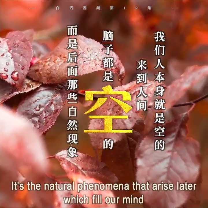 菩提本无树，明镜亦非台，本来无一物，何处惹尘埃【中英】白话佛法 · 节选