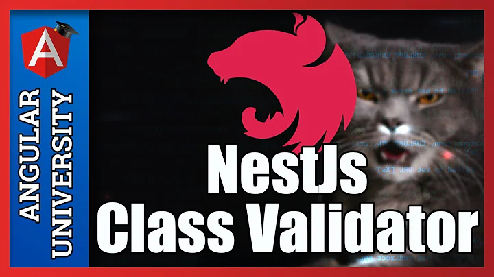 💥 NestJs Decorator based Validation using Class Validator