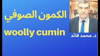 الدكتور محمد فائد  || الكمون الصوفي