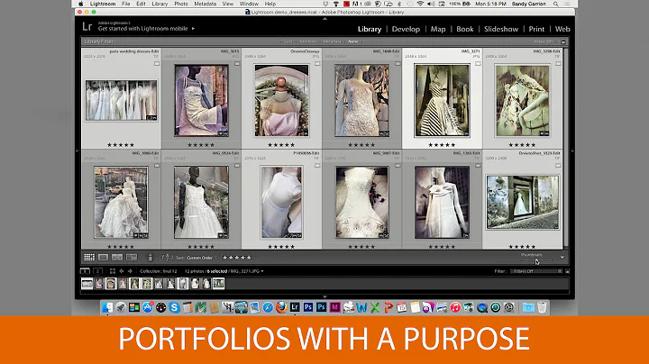 Portfolios With a Purpose