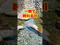 【ご当地不思議雑学・和歌山編】那智勝浦町 ぶつぶつ川 日本一短い川の正体