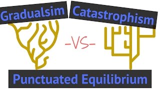 Process of Evolution | Gradualism vs Punctuated Equilibrium vs Catastrophism