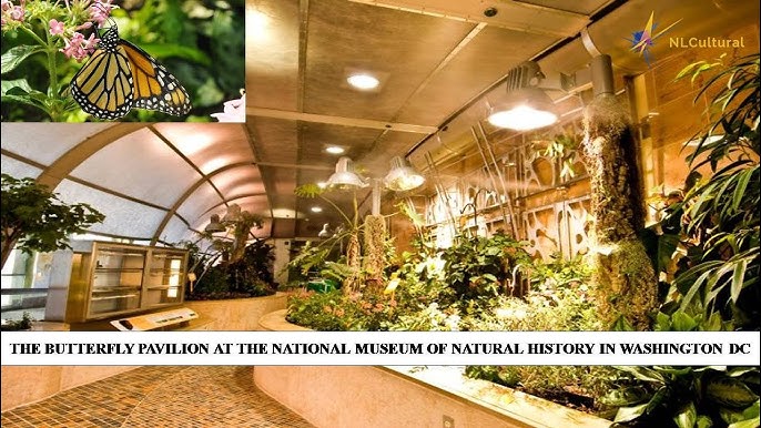 Charlotte Nature Museum