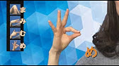 指文字を覚えたい人 あいうえお 指文字ゆっくり練習シリーズ Youtube