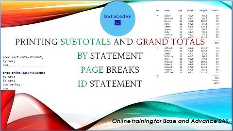 Basic SAS programming topic 7   Sum, page by, ID in proc print