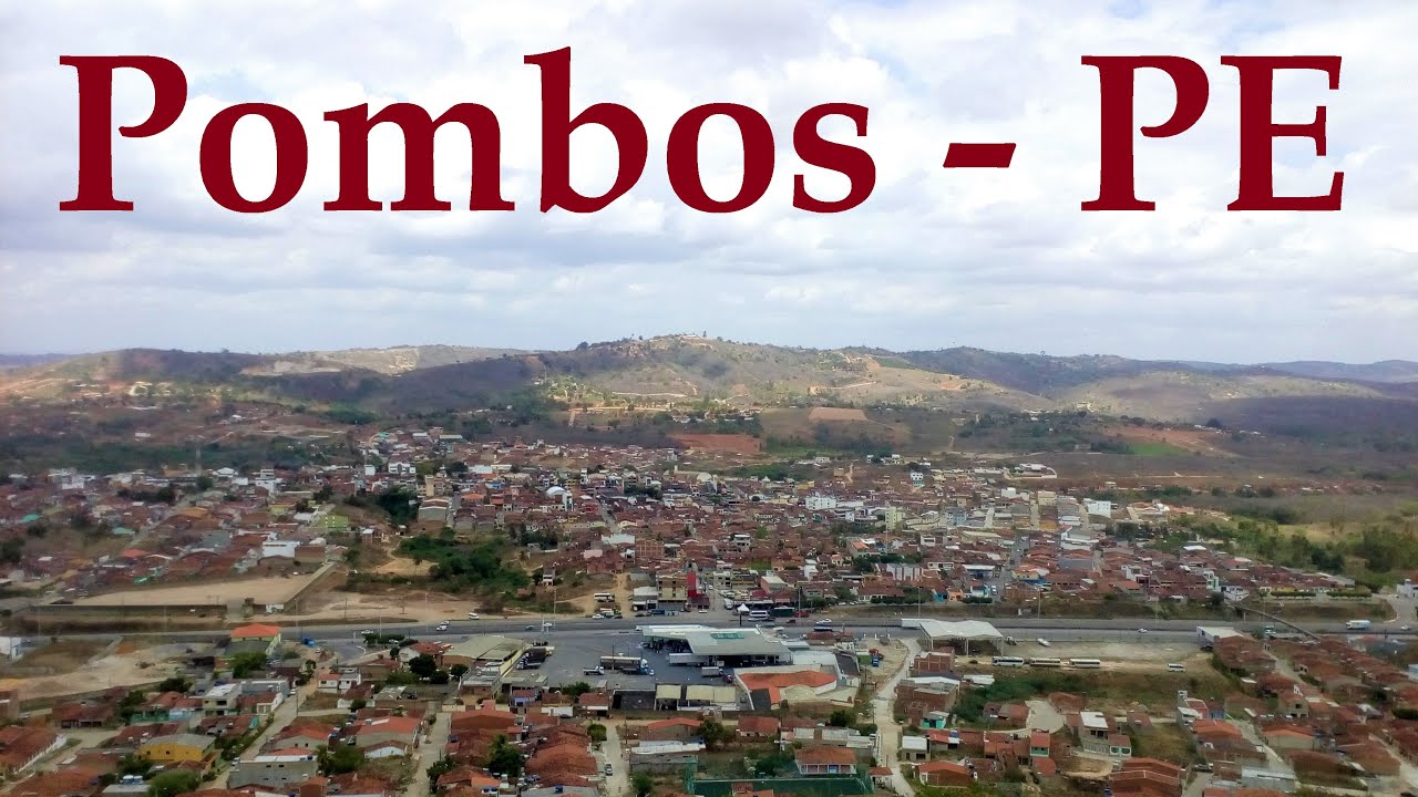 Pombos Pernambuco fonte: i.ytimg.com Fonte: i.ytimg.com