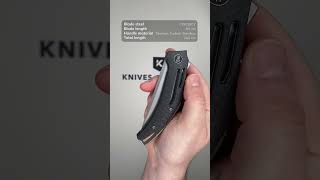 We Knife Speedliner WE22045B 1 Silver Bead Blasted CPM 20CV, Twill Carbon Fiber, pocket knife
