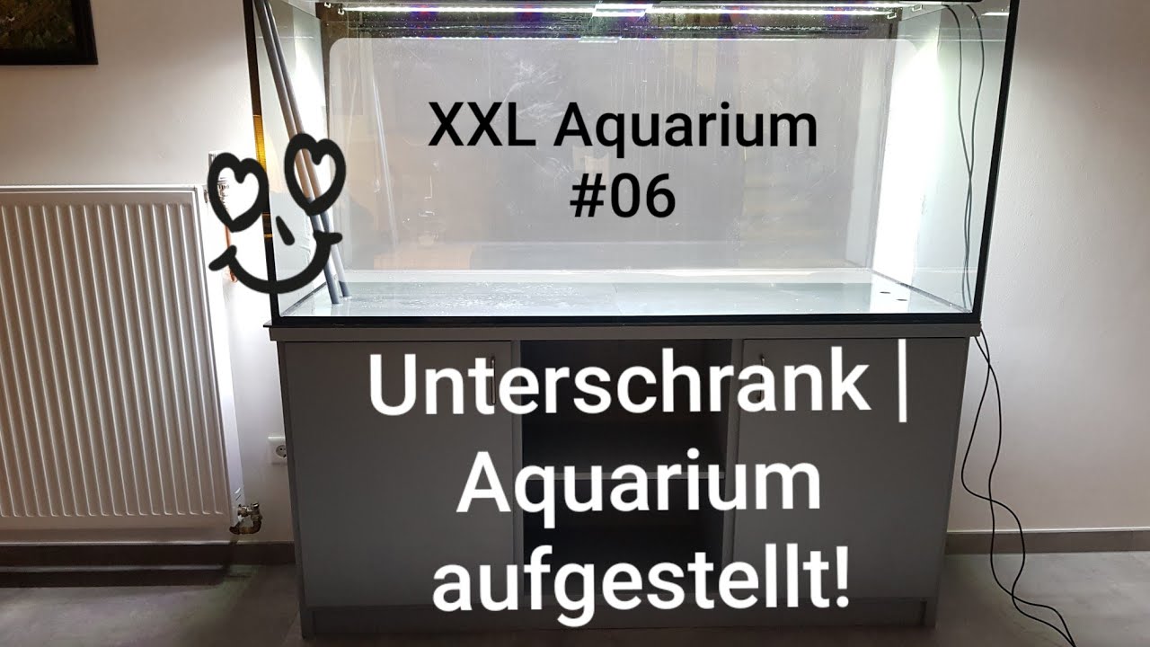 Unterschrank | Aquarium aufgestellt | XXL Aquarium #06 - YouTube