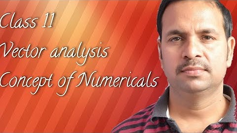class 11 Vector analysis ( Numericals)