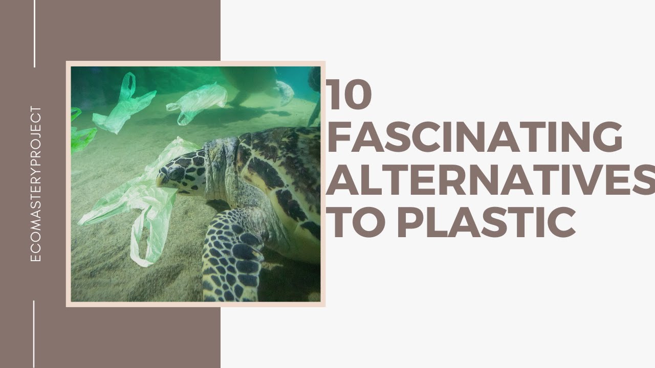 10 Fascinating Alternatives To Plastic