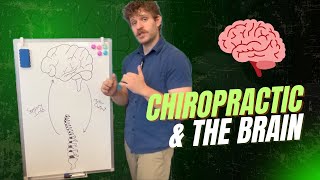How Chiropractic Adjustments Boost the Brain-Body Connection 🧠🔹