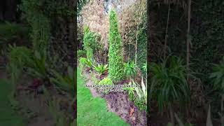 farm house landscape design backyard garden plants ideas beautiful garden designs