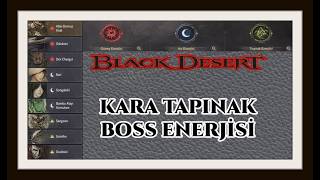 Energy Usage in Black Desert Dark Temple BOSSes screenshot 1