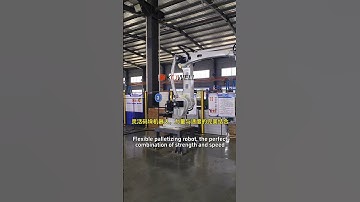 Flexible palletizing robot, the perfect combination of strength and speed #palletizing #robot