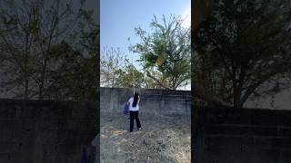 Fruit Picker Adjustable Pole. #fruitpicker #telescopic #stainlesssteel #fyp #affiliate #moments