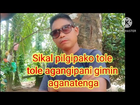 Sikal How Much Is This Tole Viral Ka Gipani Gimin Aganatenga Sikal How Much Is This Tole Viral Ka Gipani Gimin Aganatenga