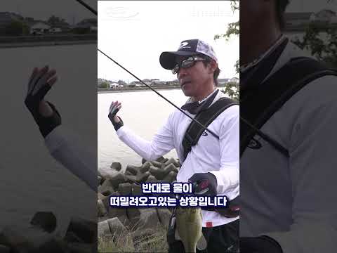 도라이브 크로울러5.5&amp;quot; 네꼬리그 / Urakawa Masanori (우라카와 마사노리, O.S.P 프로스탭)