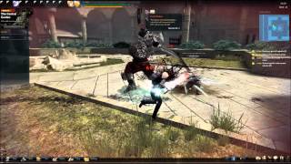 Vindictus Ingkells Duo Playspears