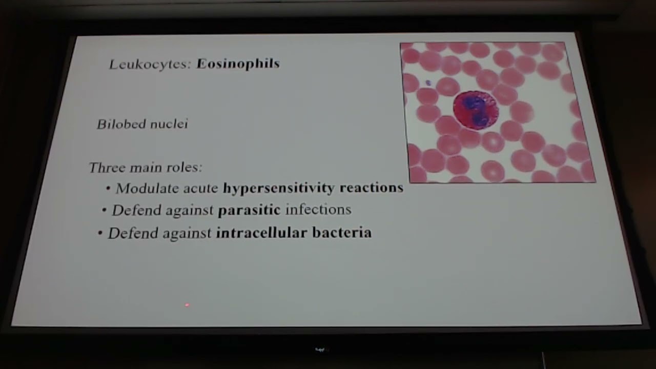 Heme/Onc Block 1 Lecture 1